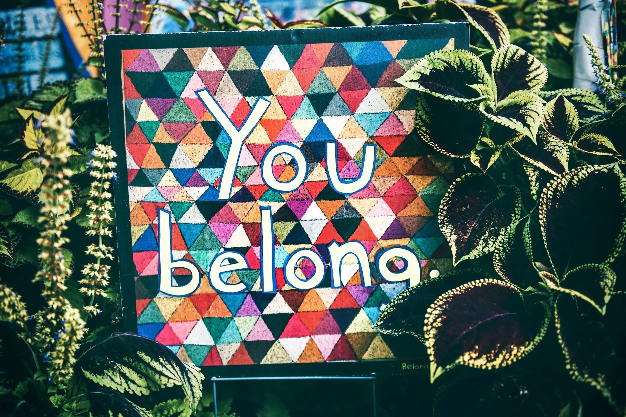 A colourful mosaic sign reading 'You belong' among green plants