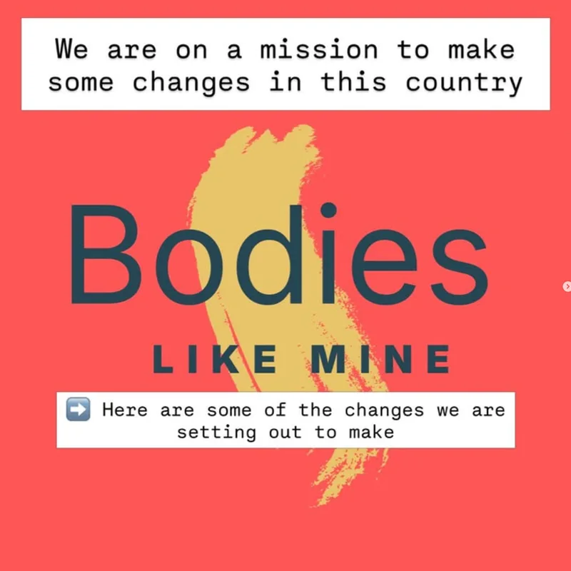 Bodies Like Mine: we are on a mission to make some changes in this country
